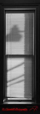 iPhone-2018-random-085