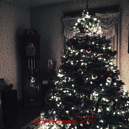 iPhone-2018-random-095