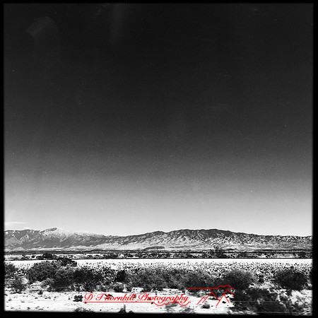 New Mexico-2017-iPhone-031
