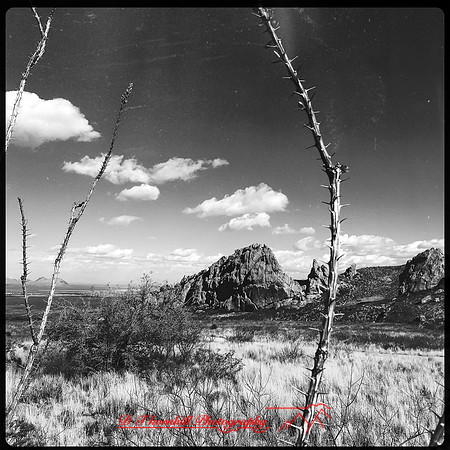 New Mexico-2017-iPhone-037
