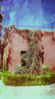 New Mexico