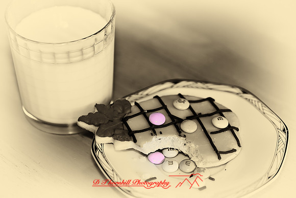 leesh-pieces-2011-14-nik