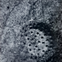 iphone-2014-manhole covers-008