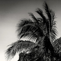 florida-nov-2014-iphone-images-087-nas