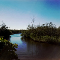 florida-nov-2014-iphone-images-071
