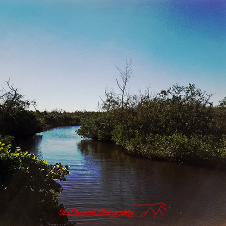 florida-nov-2014-iphone-images-071