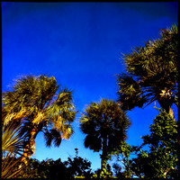 florida-nov-2014-iphone-images-079