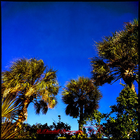 florida-nov-2014-iphone-images-079