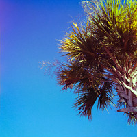 florida-nov-2014-iphone-images-070