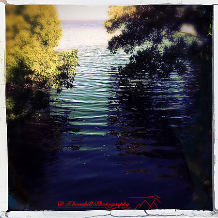 florida-nov-2014-iphone-images-083