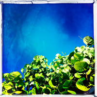 florida-nov-2014-iphone-images-082