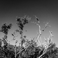 florida-nov-2014-iphone-images-073