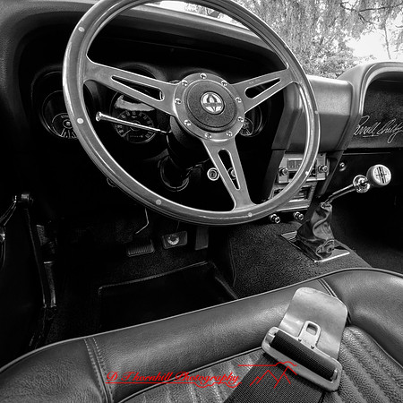 frankenmuth-car-show-2018-044_DxO