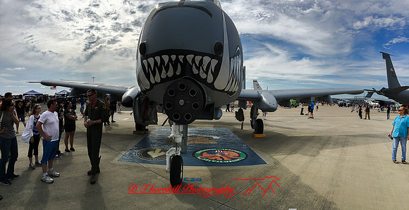 florida-march-2016-iphone-pano-004