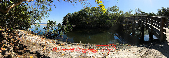 florida-march-2016-iphone-pano-008