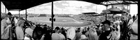 florida-march-2016-iphone-pano-012
