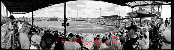 florida-march-2016-iphone-pano-012