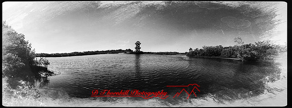 florida-march-2016-iphone-pano-010