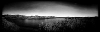 florida-march-2016-iphone-pano-005