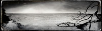 florida-march-2016-iphone-pano-009