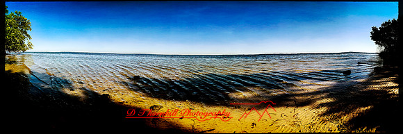 florida-march-2016-iphone-pano-007