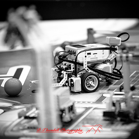 DeckerVille-Robotic-Random-2018-056