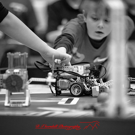 DeckerVille-Robotic-Random-2018-053