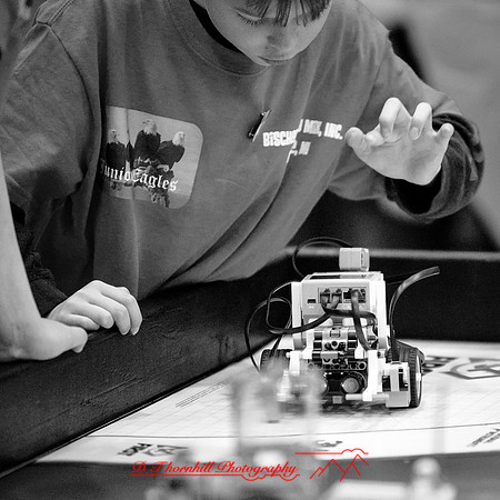 DeckerVille-Robotic-Random-2018-058