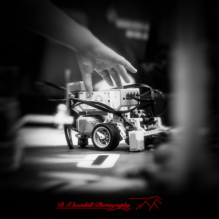 DeckerVille-Robotic-Random-2018-052-n-l-as