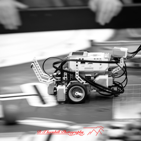 DeckerVille-Robotic-Random-2018-037