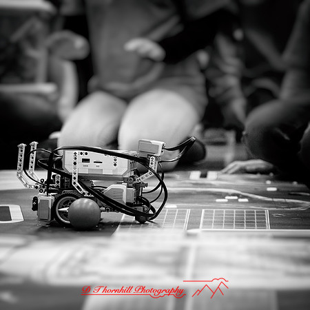 DeckerVille-Robotic-Random-2018-025-n-l-as