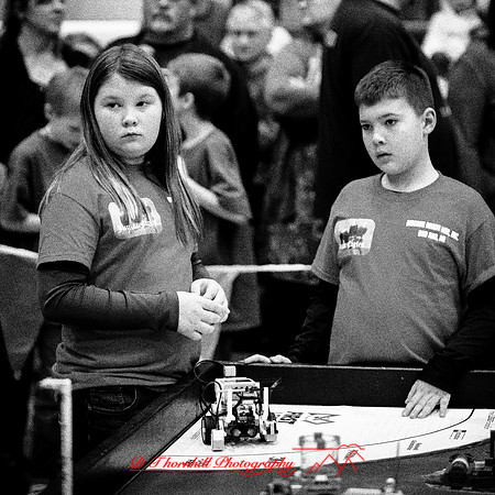 DeckerVille-Robotic-Random-2018-032-n-l-as