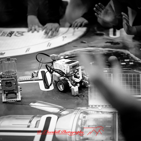 DeckerVille-Robotic-Random-2018-023