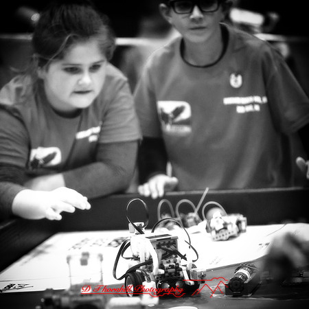 DeckerVille-Robotic-Random-2018-043-n-l-as