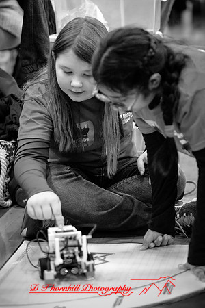 DeckerVille-Robotic-Random-2018-022