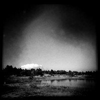 florida-march-2015-iphone-nature-008