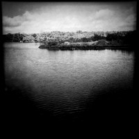 florida-march-2015-iphone-nature-007