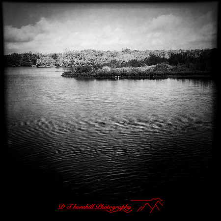 florida-march-2015-iphone-nature-007