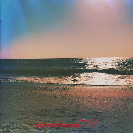 florida-march-2015-iphone-nature-019