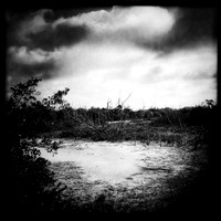 florida-march-2015-iphone-nature-002