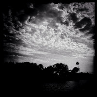 florida-2014-iphone-nature-015