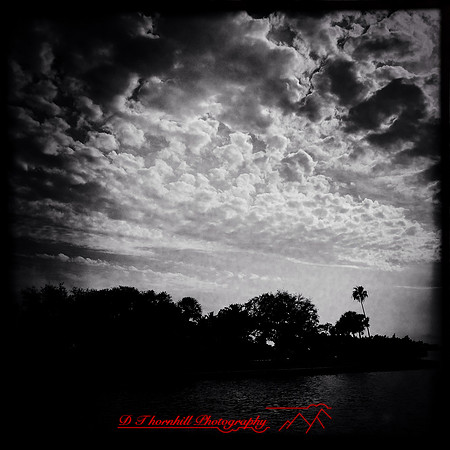 florida-2014-iphone-nature-015