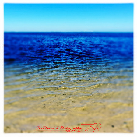 florida-2014-iphone-nature-039