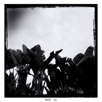 florida-2014-iphone-nature-010