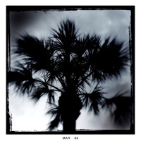 florida-2014-iphone-nature-009