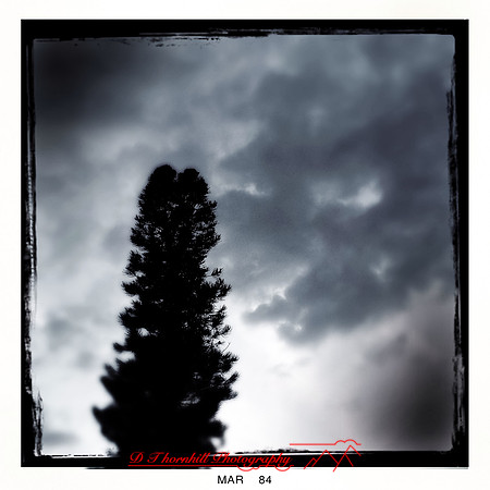 florida-2014-iphone-nature-008