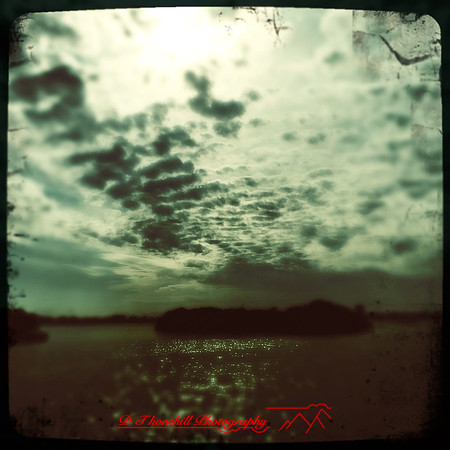 florida-2014-iphone-nature-014