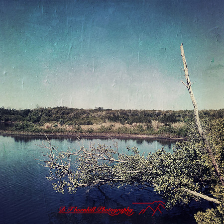 florida-2014-iphone-nature-032
