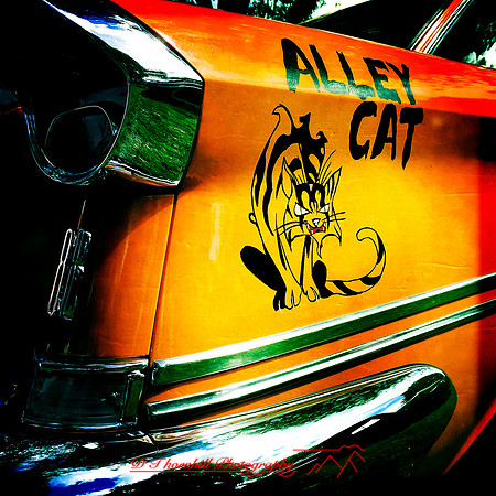 frankenmuth-car-show-2014-020