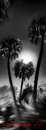 iPhone Pano FL Oct 2016-005-nas
